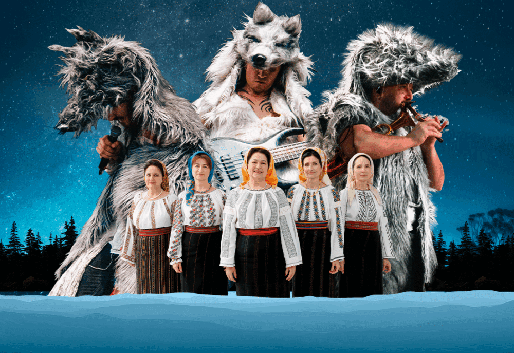 visuel_moldaves-de-montreal